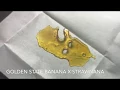 Calvin And Globz Golden State Strawnana Nug Run Review