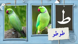 sindhi alif bay sindhi alphabet complete sindhi alif bay ji patti 