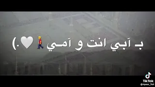 اغنية يا حبيبي يا محمد مصمم الغنية  بدر  العزي دندنها