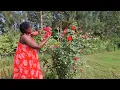 Download Lagu Back Home. Things got wild while I was gone| How to make rose flower  jam | Life in the Countryside