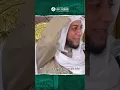Download Lagu SIMAK DAN MENDENGARKAN AL-QUR'AN SAAT TIDUR | SYEKH ALI JABER Rahimahullah