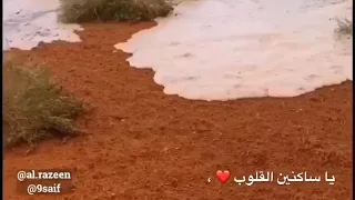 ساكنين القلوب كلمات مطر النيادي  اداء سيف الراشدي دندنها