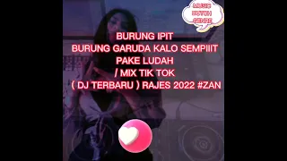 burung ipit burung garuda kalo sempiiit pake ludah mix tik tok pargoy dj terbaru rajes 2022 zan