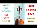 LIVIN' LA VIDA LOCA💞. MEDIUM tempo. Violin Cover. ANIMATED Violin🎻 FB. LIVE VIOLIN 🔊