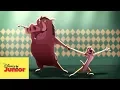 Download Lagu Honesto y Cordial | Timón \u0026 Pumba I Listo y Seguro