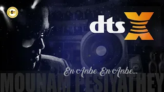 en anbe en anbe dts x 6 1