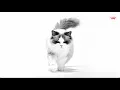 ROYAL CANIN URINARY 3D