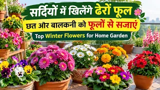 सर्दियों में खिलेंगे ढेरों फूल | छत और बालकनी को फूलों से सजाएं | Top Winter Flowers for Home Garden