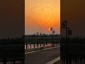 Download Lagu Duniya me kitni hai nafrate phir bhi Dilo me hai chahte...#love_status #viral #subscribe