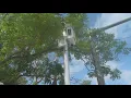 Sarasota school zone cameras have helped police catch thousands of speeding drivers