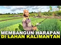 Download Lagu PAK MOHDAR DARI MADURA, BANGKITKAN HARAPAN DI LAHAN BEKAS RAWA TRANSMIGRASI KALIMANTAN UTARA