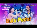 GULU PEDOT - ICHA YOLANDA FT JOKO CREWOL OMEGA MUSIC LIVE SUKODADI - LAMONGAN #pmaudio