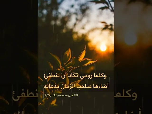 ⁣قصة و كرامة : كلما روحي تكاد ان تنطفئ 😔 أضاءها صاحب الزمان بدعائه 💕