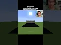Minecraft Optical Illusion Moment