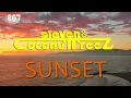Steven & Coconuttreez - Sunset (Official Lyric Video)