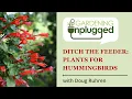 Gardening Unplugged - Ditch the Feeder Plants for Hummingbirds with Doug Ruhren