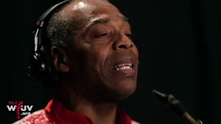 femi kuti 