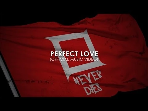 Download MP3 KOTAK - Perfect Love (Official Music Video)