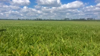 Making It Grow - Super-Sod