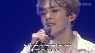exo cbx paper cuts live magical circus 2019 at saitama super arena lyrics terjemahan 