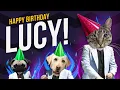 Download Lagu Happy Birthday Lucy - It's time to dance!
