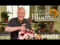 J Schwanke s Life in Bloom season 4
