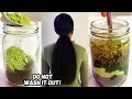 Download Lagu Powerful Rosemary \u0026 Moringa Hair Growth Oil | Crazy Results 😱