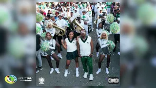 dj tshegu and focalistic tiya mfana mzokwana feat sims noreng official audio 