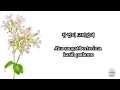 [FULL] Onestar 임한별 - Because I Don't Love You 사랑하지 않아서 그랬어 (Indonesian Sub)