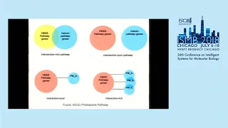 NetworkAssessor An interactive visualization tool - Anna Calinawan
