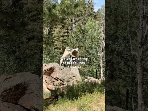 Wolves When the Task Requires 0 Wolves