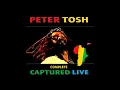 Peter Tosh - Johnny B. Goode (Live)