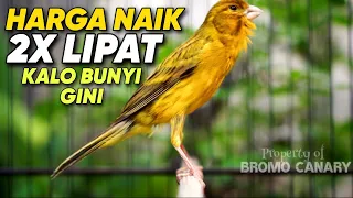 Download KENARI GACOR ISIAN PRENJAK CIBLEK UNTUK MASTERAN KENARI PAUD BELAJAR BUNYI MP3