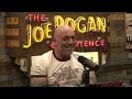 Joe Rogan Experience #2530 - Timothy Alberino