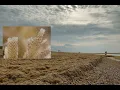 Download Lagu Harig mosdiertje Electra pilosa, massaal op strand
