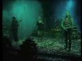 Download Lagu Maanam - Róża