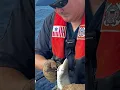 Download Lagu US Coast Guard Heroics: Cutter Yellowfin Recovers 4,000 Yards of Illegal Mexican Longline Gear