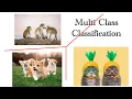 MultiClass MultiLabel Classification Bayesian Networks Week 9 - Live