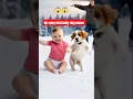 Download Lagu cute Retriever baby dance on up Wala thumka lagao