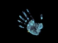 1 2 Data Hiding inside Cryptography