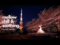 Download Lagu Late Night Study Session 🌙 Lofi Beats \u0026 Chill Music to Help You Focus | 24/7 Live