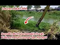 Download Lagu Bukan Cuma Lumpur dan Rumput,Predator pun banyak || Semakin Ke Hulu Semakin Parah.