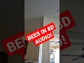 Flight of the bumblebee in 8d