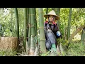 Download Lagu Een geluksdag in het bamboebos - geniet van een heerlijke maaltijd van bamboescheuten