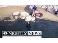 FBI Divers Search Lake Near San Bernardino Massacre for Clues NBC Nightly News