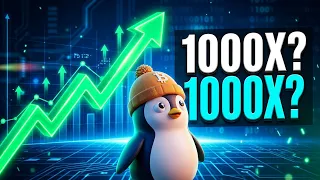 🐧 Pingüinos Bitcoin: ¡entra antes de la cotización del 2 de septiembre! 🚀