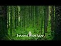 How to make Bootstrap Carousel with HTML CSS Background HTML CSS Bootstrap Carousel raselcoder