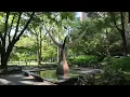 Aug 21 2026 NYC 4K Walking and Anime NYC