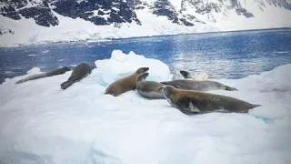 Antarctica slides and videos.