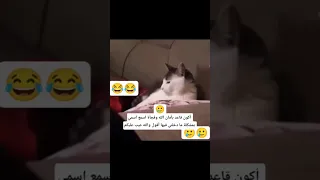 أكون قاعد بأمان الله وفجأة اسمع اسمي بمشكلة ما دخلني فيها أقول والله عيب عليكم غدرا هاذي والله  أكون قاعد بأمان الله وفجأة اسمع اسمي بمشكلة ما دخلني فيها أقول والله عيب عليكم غدرا هاذي والله